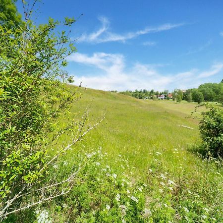 Apartment In Guentersberge With Panoramic Views Harzgerode Bagian luar foto
